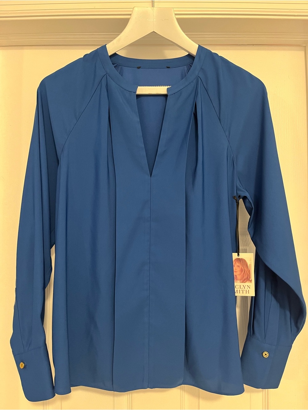 Blue Pleated V-Neck Blouse